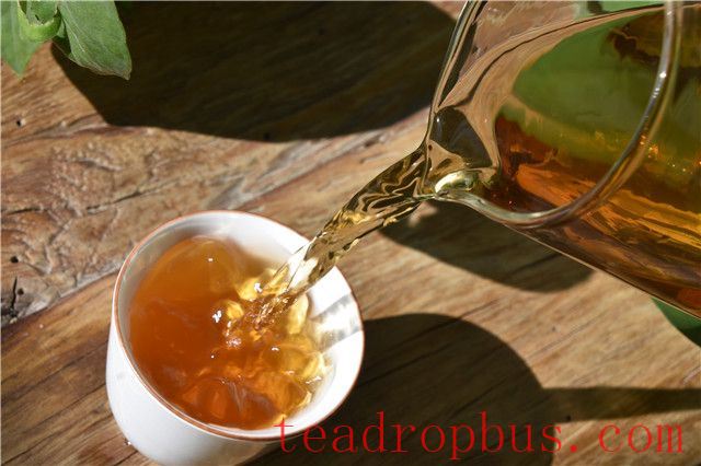 The Timeless Charm of Tea: Savoring the Ambience and Insights in Every Cup-5