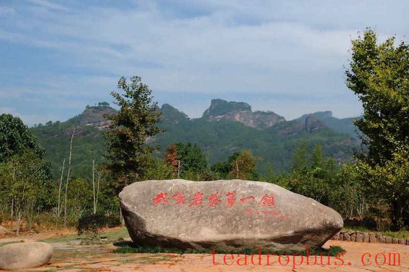 The Sacred Land of Tea: Mount Wuyi-11