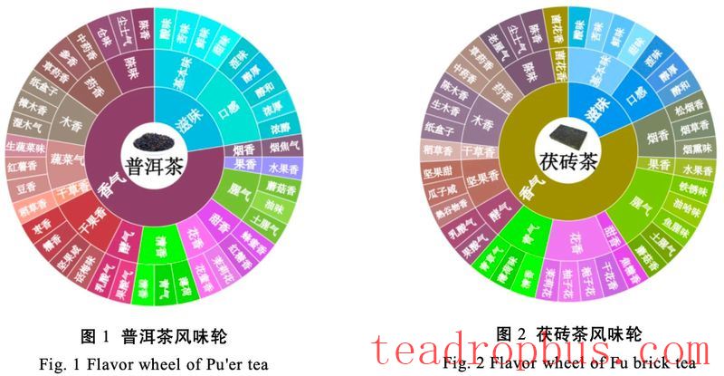 Construction and Application of the Flavor Wheel for Pu'er Tea and Fu Brick Tea-3