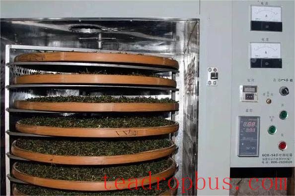 Intangible Cultural Heritage of Humanity: Traditional Chinese Tea Processing Skills - Chapter ① on Oolong Tea – Tieguanyin-8
