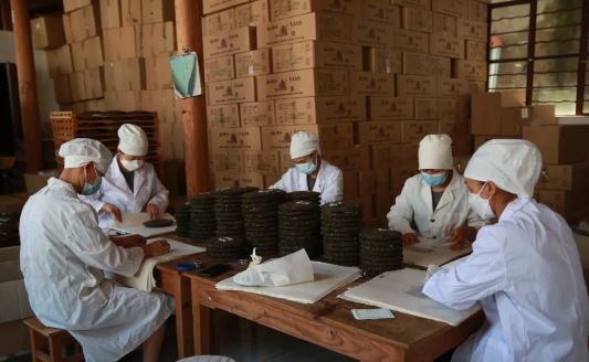 Empowering the Tea Industry through Party Building: Unleashing New Dynamics for the 