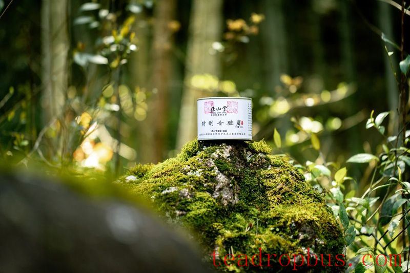 Planting Spring, Enjoying the Aroma of Tea-4