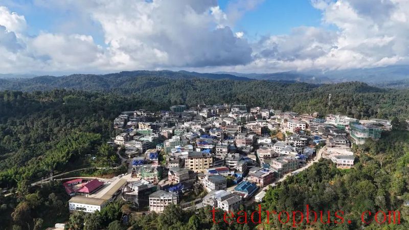 Lao Banzhang: Green Waters and Green Mountains Pave the Path to Happiness; Civilized Tea Village Welcomes a New Life-2
