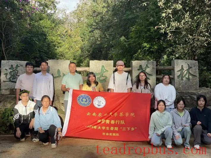Exploring the Secrets of Ancient Tea Mountains: Agricultural Science and Technology Enriches Rural Communities-1