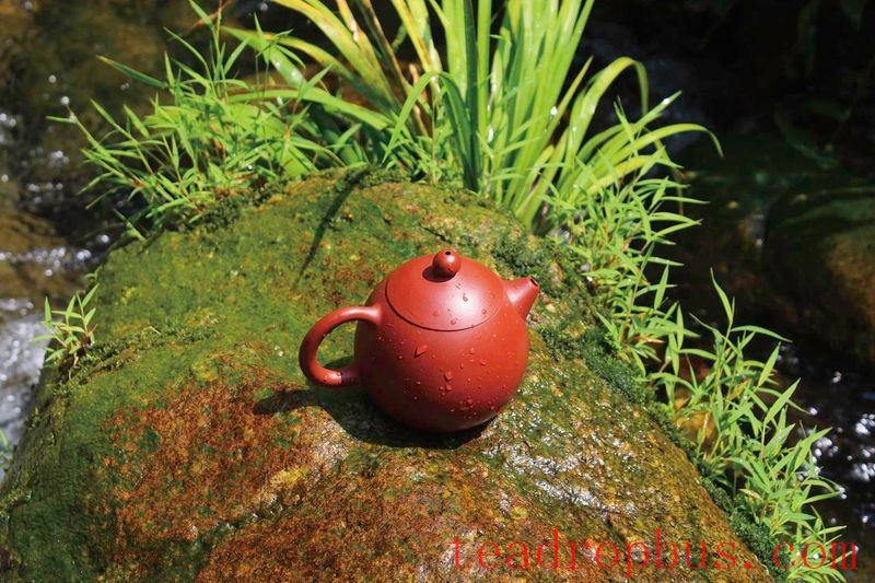 Speaking of Purple Clay Teapots Again-2