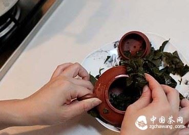 Be Assertive with a New Pot; Give it an Be Assertive with a New Pot; Give it an