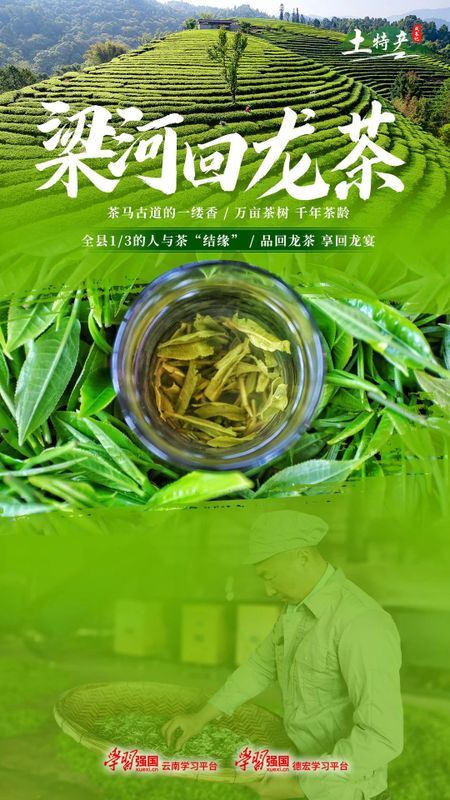 Lianghe Hui Long Tea: A Toast to the Millennium Mist of the Ancient Tea Horse Road-1