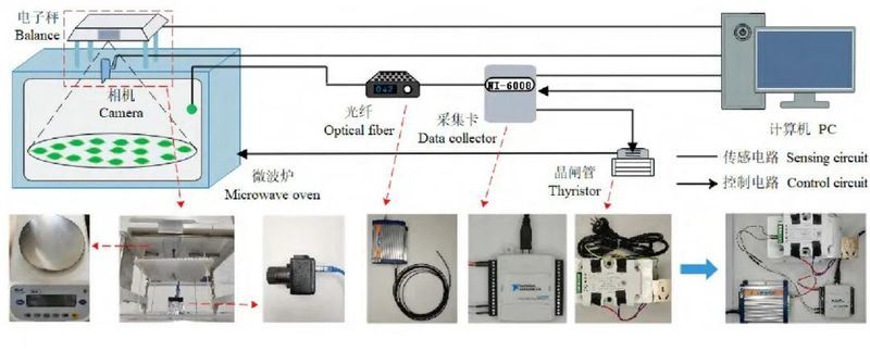 Research Status of Digital Processing in Tea-4