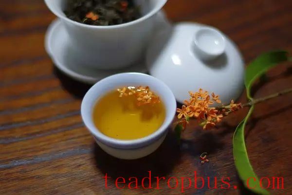 After Beginning of Autumn, Do You Know What Tea Is Good for Health?-1