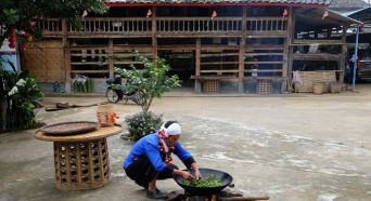 Ancient Deang Fermented Tea-3