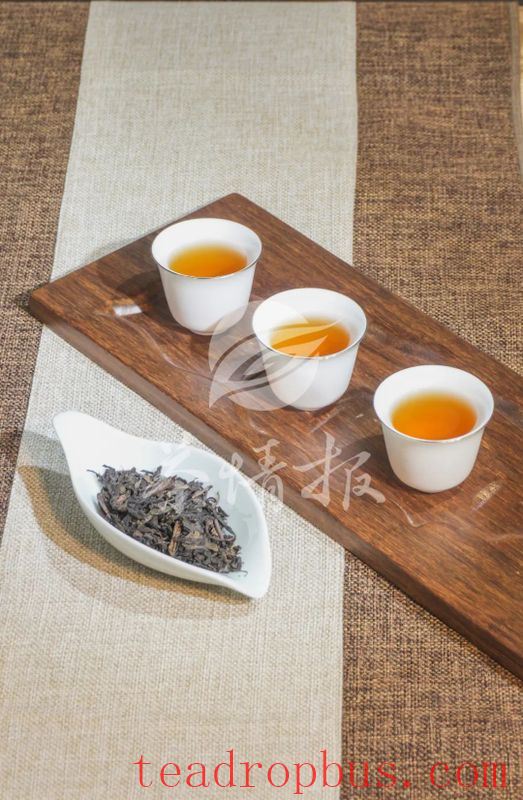 Years Undercover at the Tea Shop: I Finally Stole the Boss's Secret Tea Brewing Formula-6