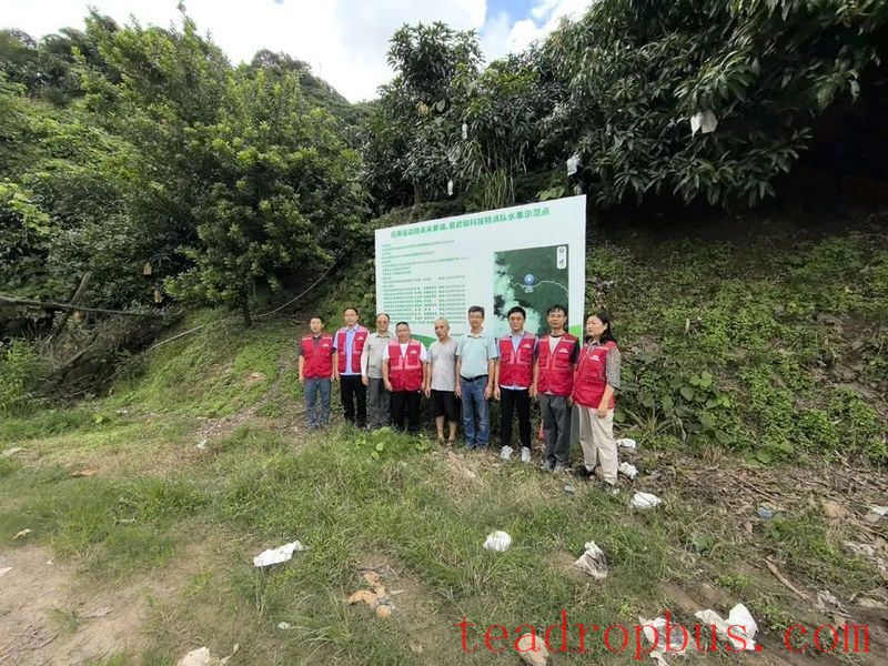 Yunnan Tea Research Institute's Special Team Provides Technology Services in Border Villages-3