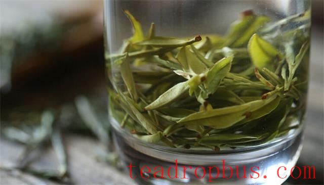 Green Tea Brewing Techniques, Savoring the Fresh Aroma and Flavor-3