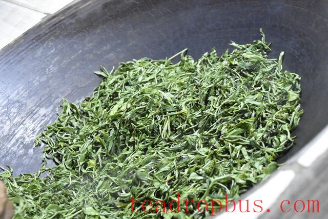 Which Teas Require the Process of Fixation?-4
