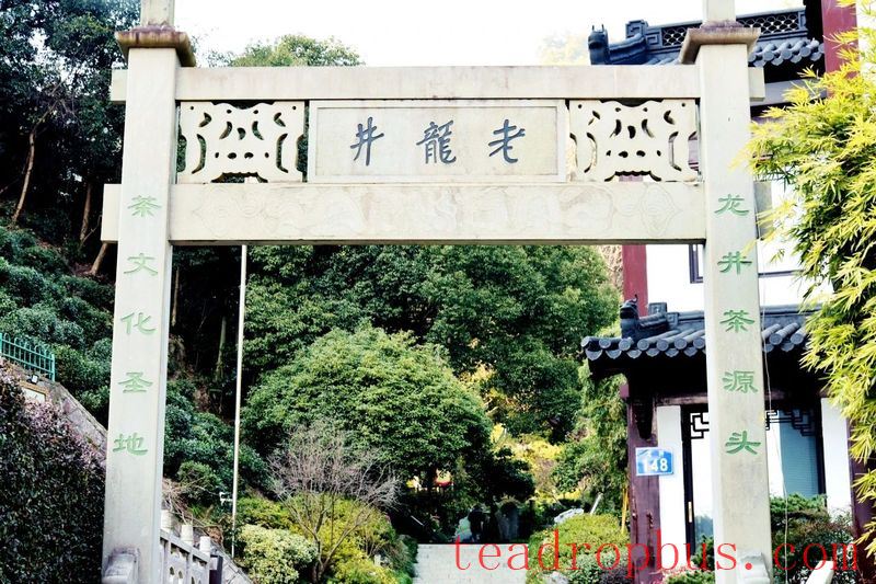 In Search of Longjing • Questioning the Tea of Shifeng: Did Emperor Qianlong Make Four Trips South Just to Find 