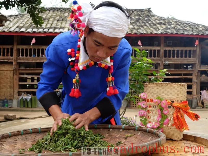 Empirical Science: Is Tea the Remedy for All Ills?-3