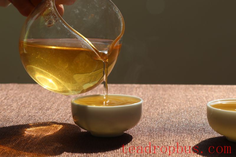 Puer Tea Benefits-1