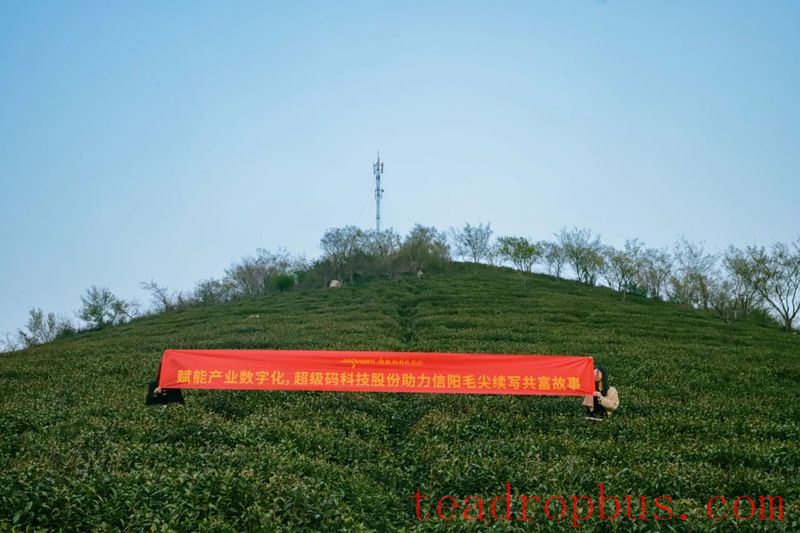 The Xinyang City Tea Standardization Technical Committee has been established, with Super Code Technology Co., Ltd. selected as a digital enterprise in the tea industry!-10