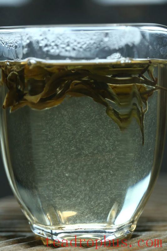 Indulge in White Tea When Summer Starts, and Heat Stroke Will Be the Least of Your Worries!-3