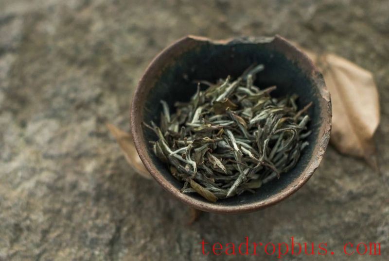 Heat in the Dog Days, First Choice is This Tea! The Entry Code is “2346”…-3