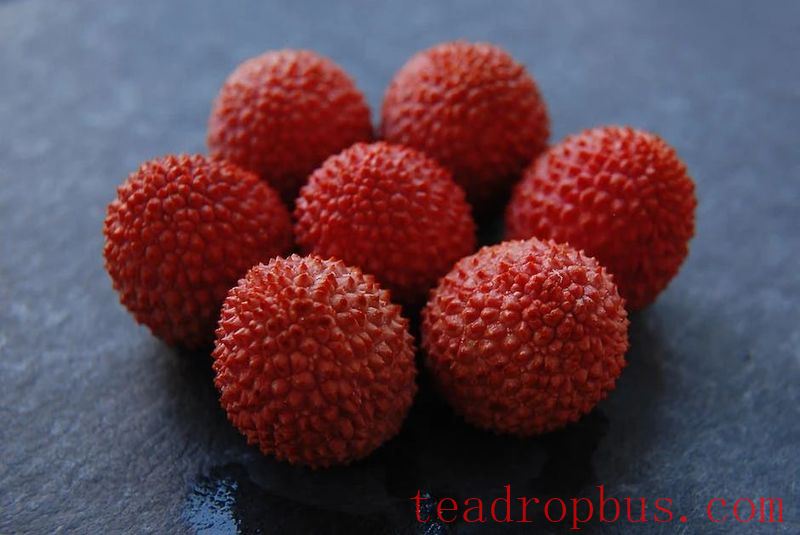 Litchi and Tea: An Unexpected Combination!-2