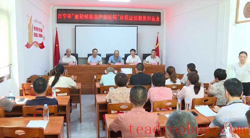 Jingnan Town Grants Zhushui Village a Credit Line of 20 Million RMB: Financial Support Empowers Tea Industry Development-1