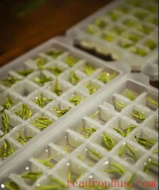 Which has a stronger stimulating effect, black tea or green tea?-3