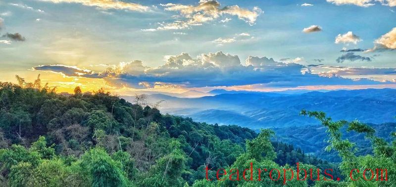 June Stretches Long, Meeting the Boundless Green of the He Kai Tea Garden-5