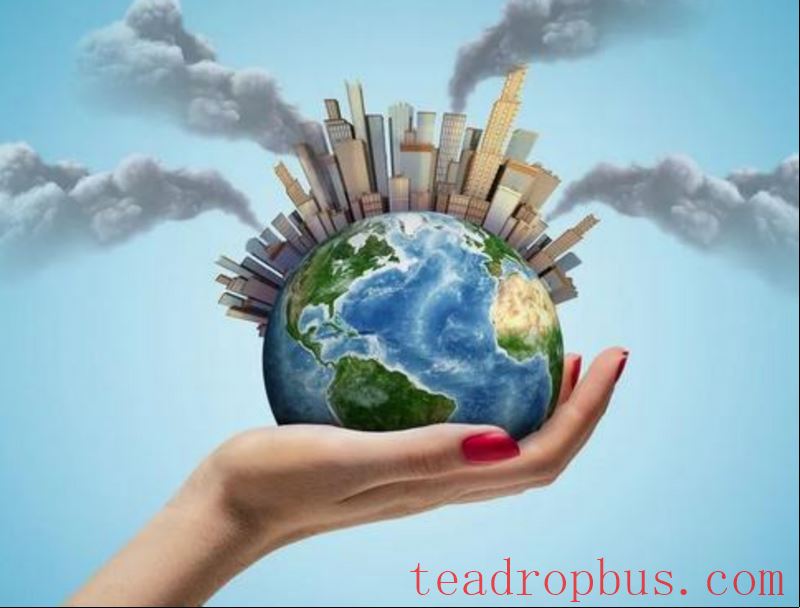 The Application Potential of Agricultural and Forest Soil Carbon Sequestration and Emission Reduction Technologies in Tea Cultivation-1