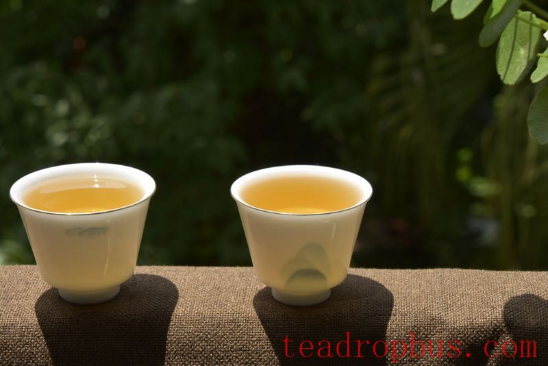 How Much Tea Should You Drink? Can You Drink Tea Left Overnight?-1