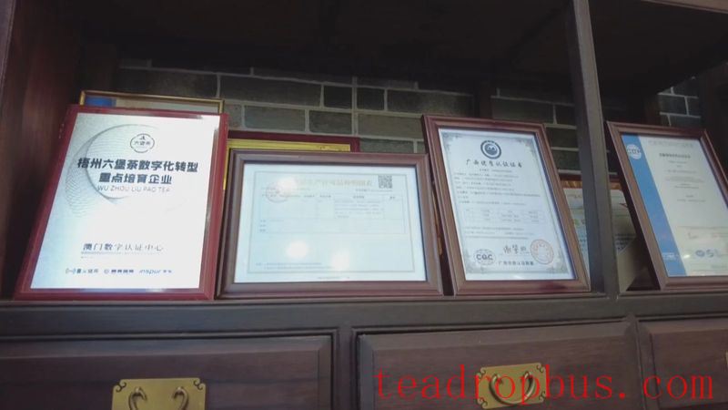 Wuzhou: Quality Brands Empower the Upgraded Development of Liubao Tea Industry Chain-4