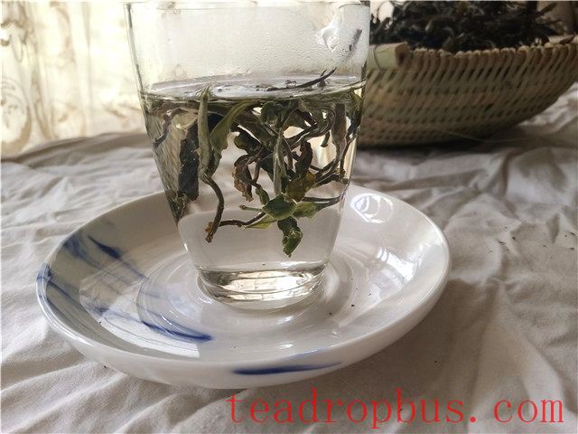 Brewing Water Temperature and Time for White Tea-2