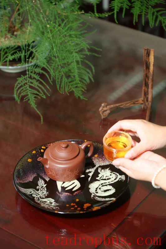 Gaiwan or Purple Clay Pot for Brewing Pu'er Tea? Here's How Experts Choose!-2