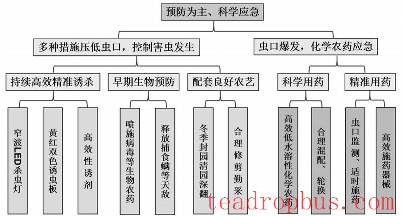 Green Precision Prevention and Control Technology Assembly and Application Effects for Tea Pest Management-1