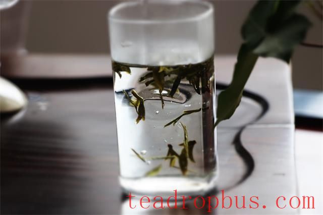 Is It a Big No-No to Put Green Tea Leaves in Before Pouring Water?-1