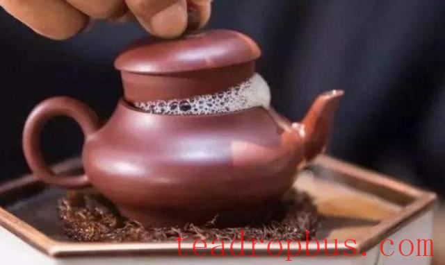 Tea Master's Guide to Brewing Tea: Enjoy Quality Tea at Home-1