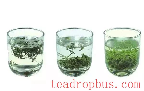 To Bring Out the True Flavor of Green Tea, These Details Are Essential!-5