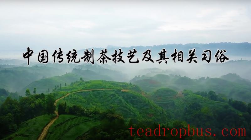 Intangible Cultural Heritage of Humanity: Traditional Chinese Tea Processing Skills - Green Tea Chapter ① – West Lake Longjing-1