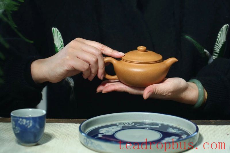 What's the Difference Between a Novice and an Experienced Player in Enjoying Purple Clay Teapots?-7
