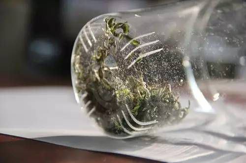 I must say, the fragrance of green tea brewed in a gaiwan far exceeds that of a glass cup!-4