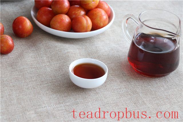 Tea Drinking Benefits the Brain for Seniors-1