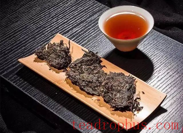 Discussion on the Immune-Regulating Effects of Anhua Dark Tea by Academician Zhonghua Liu's Team-6