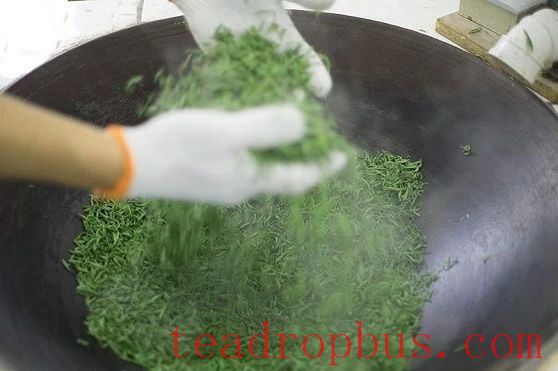 Intangible Cultural Heritage of Humanity: Traditional Chinese Tea Processing Skills - Green Tea Chapter 4: Biluochun, Xinyang Maojian, and Wuyuan Green Tea-2