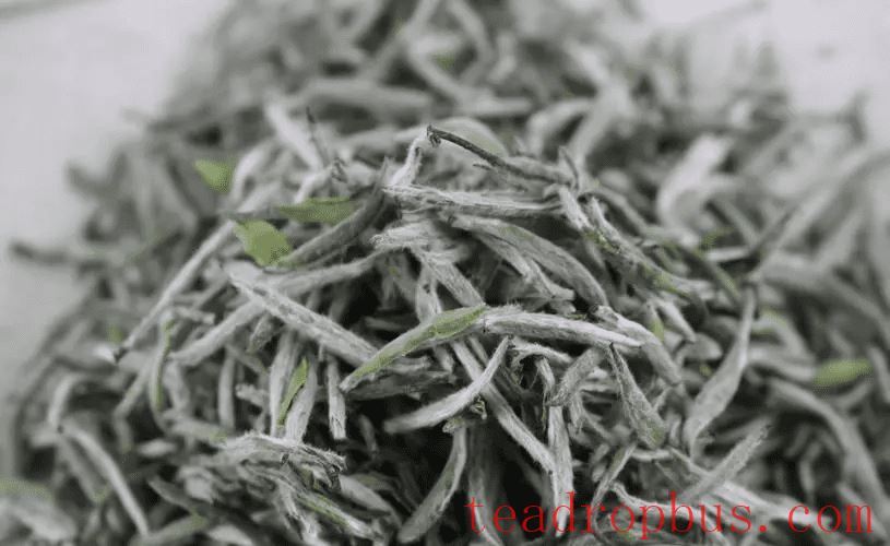 How to Brew Baihao Yinzhen (White Down Silver Needle) Tea Best-1