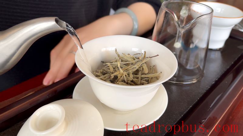 How to Brew Yunnan White Tea, Baihao Yinzhen? Is it Tasty?-7