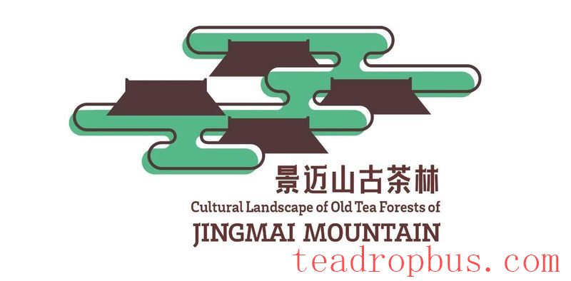 Jingmai Mountain Ancient Tea Forest: Inscribed on the World Heritage List! The World Heritage of 