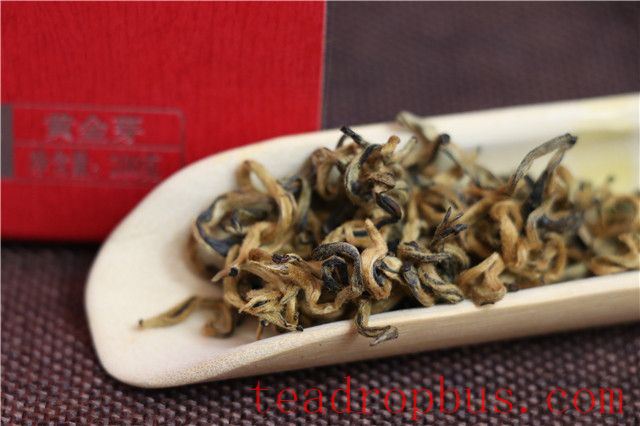 How to Brew Dian Hong Golden Bud Black Tea-1