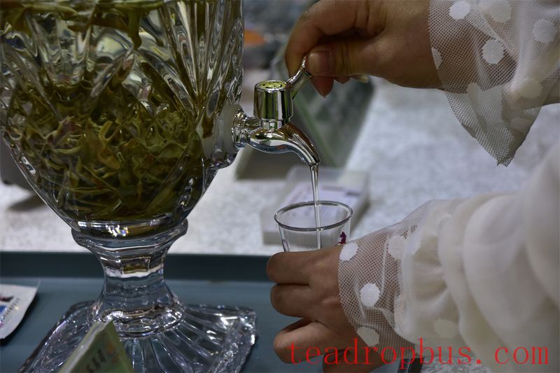 Taste White Tea and Embrace the Flavors of Nature-2