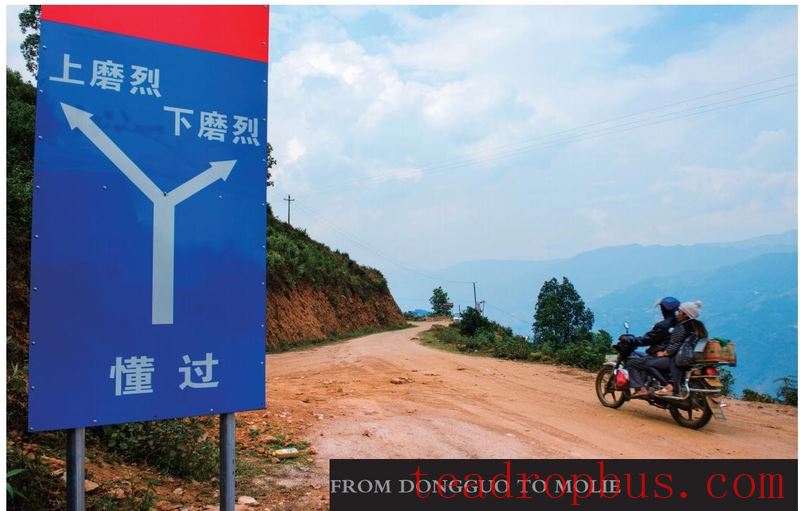 From Dongguo to Molie-1
