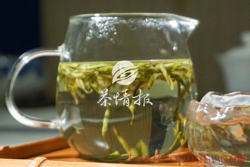 There's an Art to Drinking Tea in the Morning-7